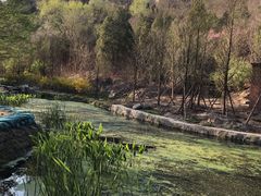 -白水寺森林公园