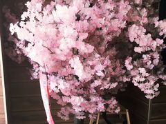 -月见·烧鸟酒场居酒屋(农科路店)