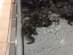 -永辉超市(鲁谷店)