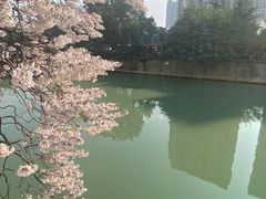 -红星桥(地铁站)