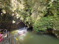 -怀托摩萤火虫洞