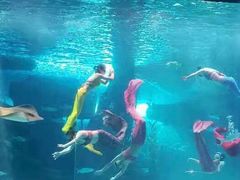 -泉城欧乐堡海洋极地世界