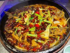 -老板恋上鱼(恒隆广场店)