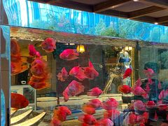 -怡咖啡海鲜自助餐厅(浦东香格里拉店)