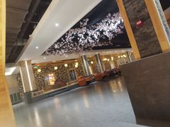 -星河湾温泉洗浴酒店