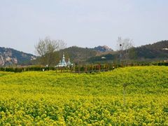 -西海岸生态观光园