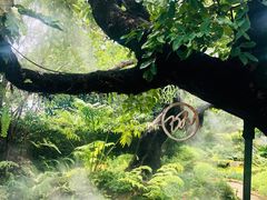 -Chom Cafe and Restaurant