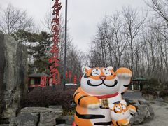 -合肥滨湖国家森林公园