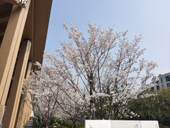 -良渚文化村