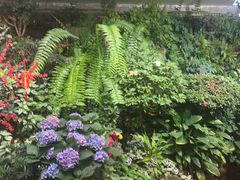 -颐而康·按摩·艾灸·足疗(汽车东站店)