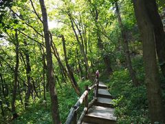 -北京上方山国家森林公园