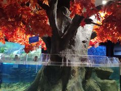 -成都浩海立方海洋公园