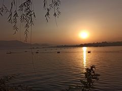 -石家庄市植物园