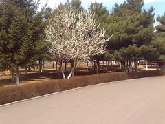 -长春市南湖公园