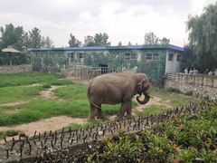 -西安秦岭野生动物园