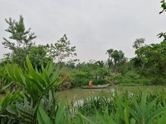 -白鹭湾湿地公园