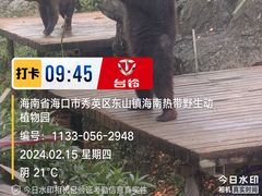 -海南热带野生动植物园