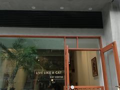 -猫友咖啡店(玉林西路店)