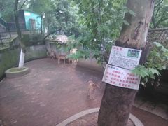 -甘棠公园