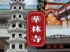 -华林禅寺