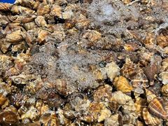 -三亚火车头万人海鲜广场