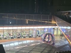 -半岛听涛蒸汽海鲜自助(K11店)
