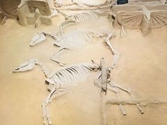 -洛阳周王城天子驾六博物馆