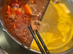 -湊湊火锅·茶憩(新中关购物中心店)