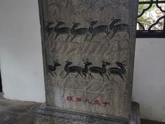 -上海醉白池公园