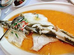 -老洋房花园饭店(绍兴路店)