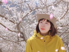 -碓臼峪自然风景区