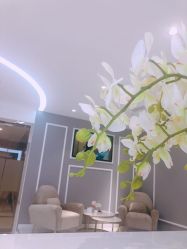 -MIVI半永久纹眉纹绣