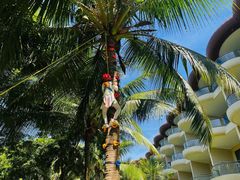 -石梅湾艾美度假酒店