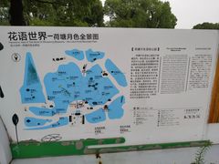 -荷塘月色湿地公园·向阳花洲