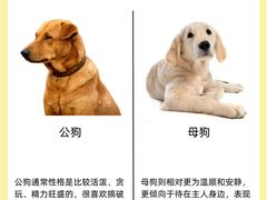-萌兽医馆·犬猫专科·眼科中心·宠物医院(朝阳门分院)