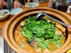 -九道菜有鸡鱼头(石鼓路店)