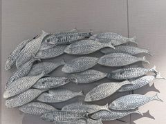 -映像威海·海鲜味道(经区店)