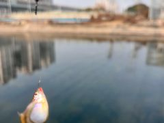 -蓝天路(地铁站)