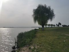 -漕湖湿地公园
