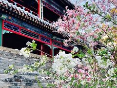 -潭柘寺景区