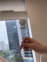 点击看大图 -智美品质医美