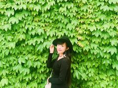 -草场地艺术区
