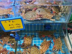 -海旺小海鲜大排档(冠亚星城店)