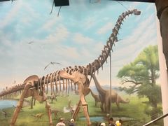 -辽宁古生物博物馆