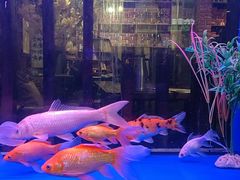 -咖啡人·融合餐厅(健康东路店)