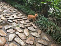 -静安公园(静安寺街道)
