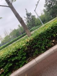 -HEYAN长风荷妍专业脱毛美肤
