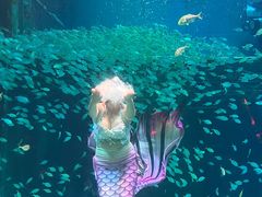 -海合安青岛极地海洋公园