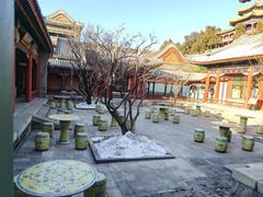 -宫事颐庭·老佛爷贵寿下午茶(颐和园店)