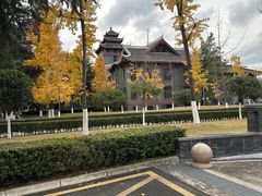 -四川大学(华西校区)